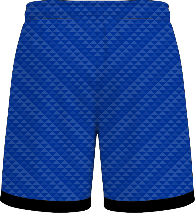 COLLEGIATE CUT SHORTS D 2 BACK